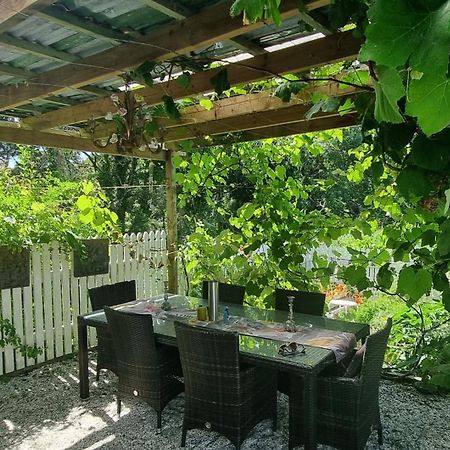 Pheasant Lodge Paparoa Exterior foto